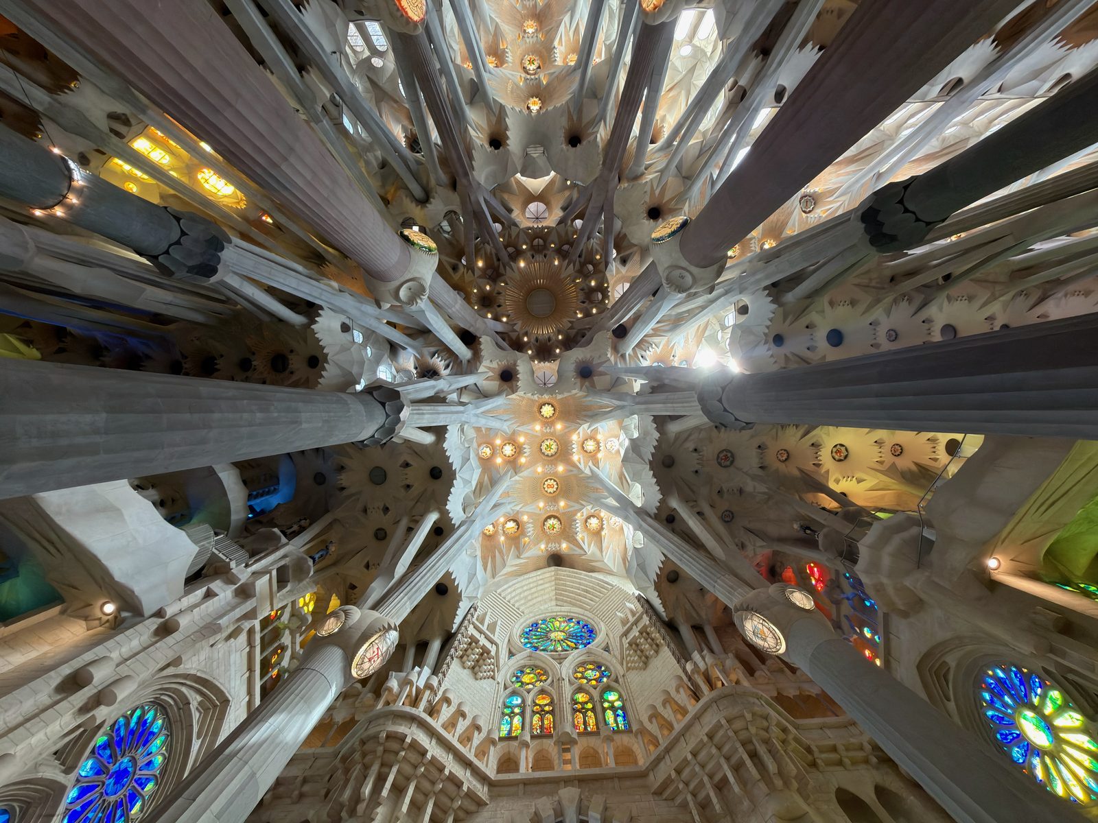 Looking up into the ceiling of the Sagrada Família