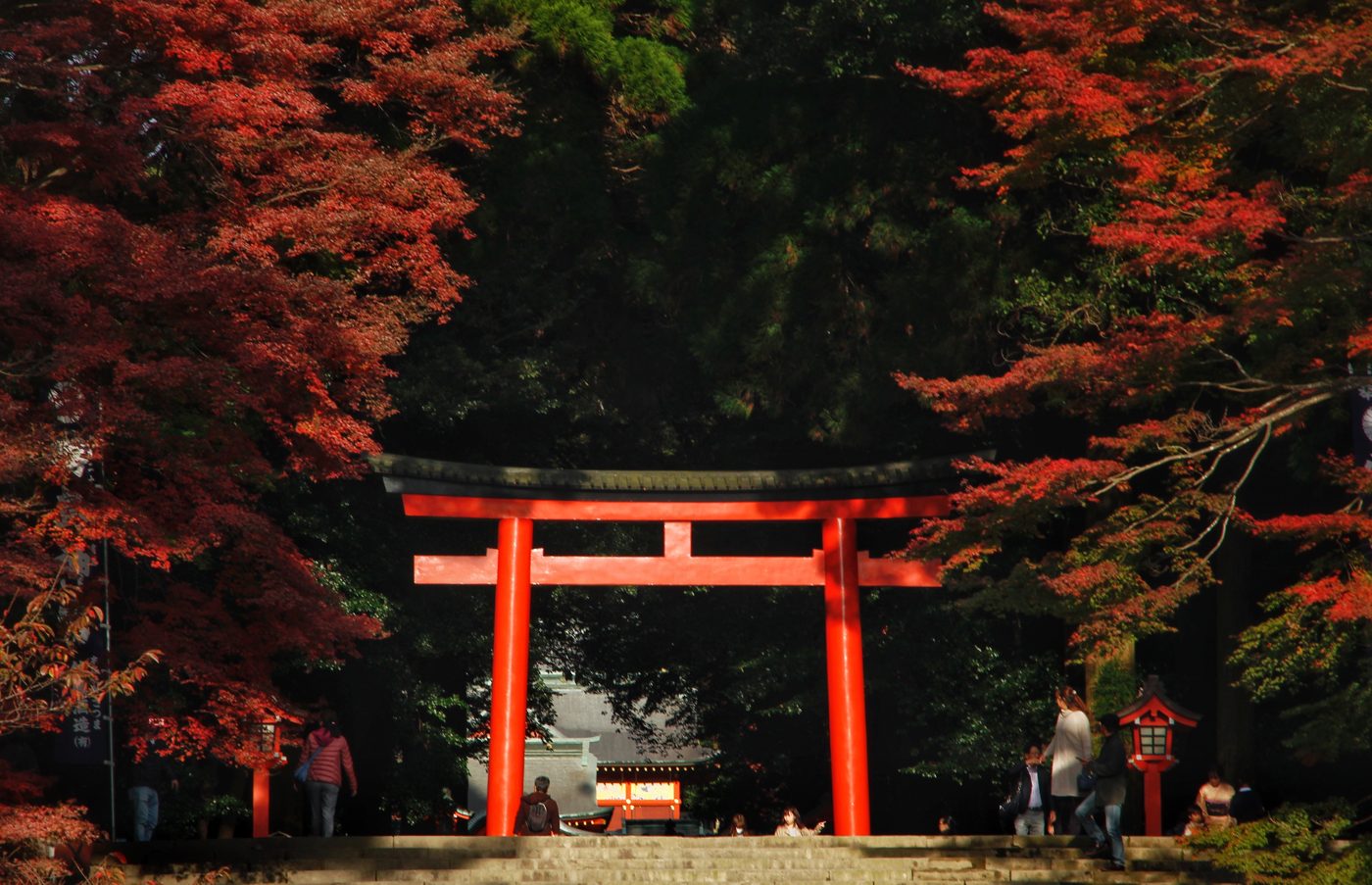 Kyoto Torii