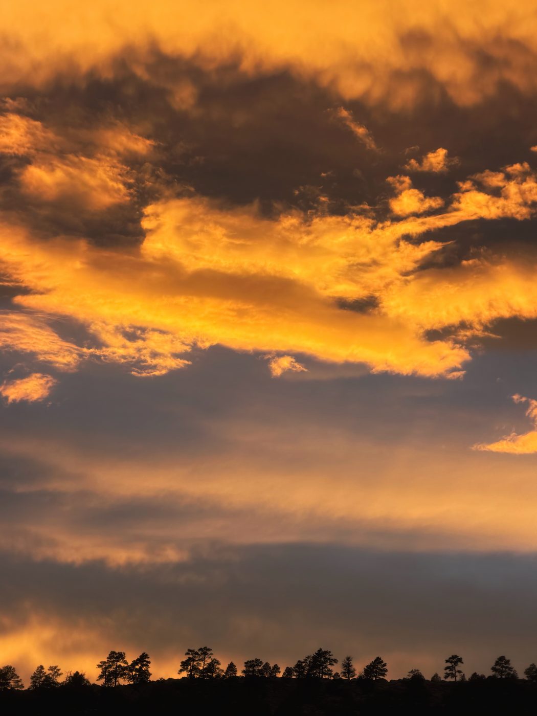 Pine Ridge Gold — New Mexico sky, fine-art print by Aram Herrera