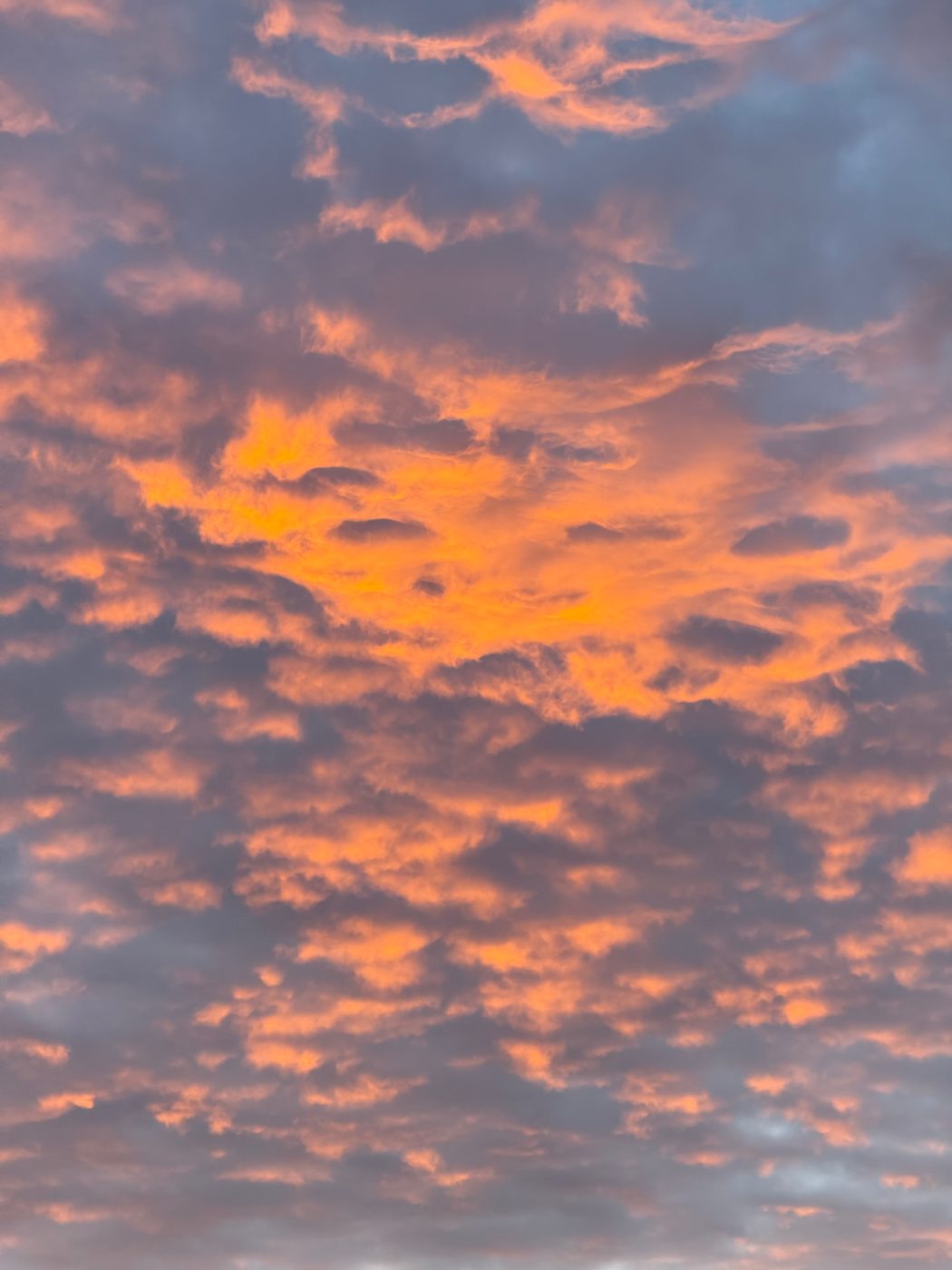 Mackerel Sky — New Mexico sky, fine-art print by Aram Herrera