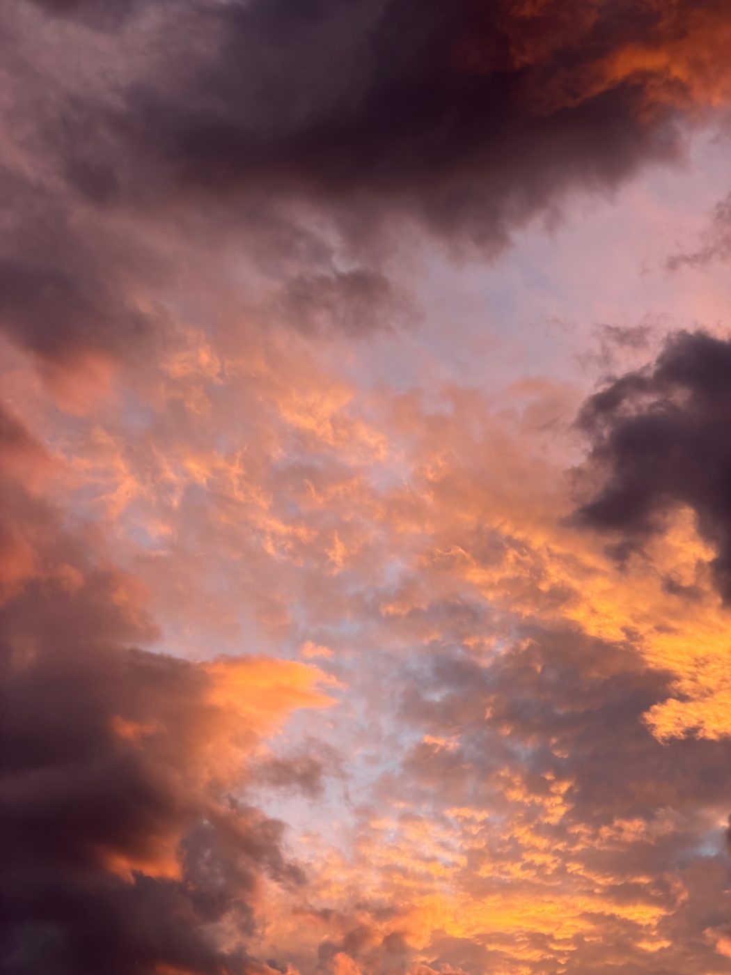 Violet Hour — violet storm cloud and rose light, fine-art print by Aram Herrera